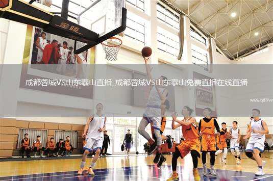 成都蓉城VS山东泰山直播_成都蓉城VS山东泰山免费直播在线直播