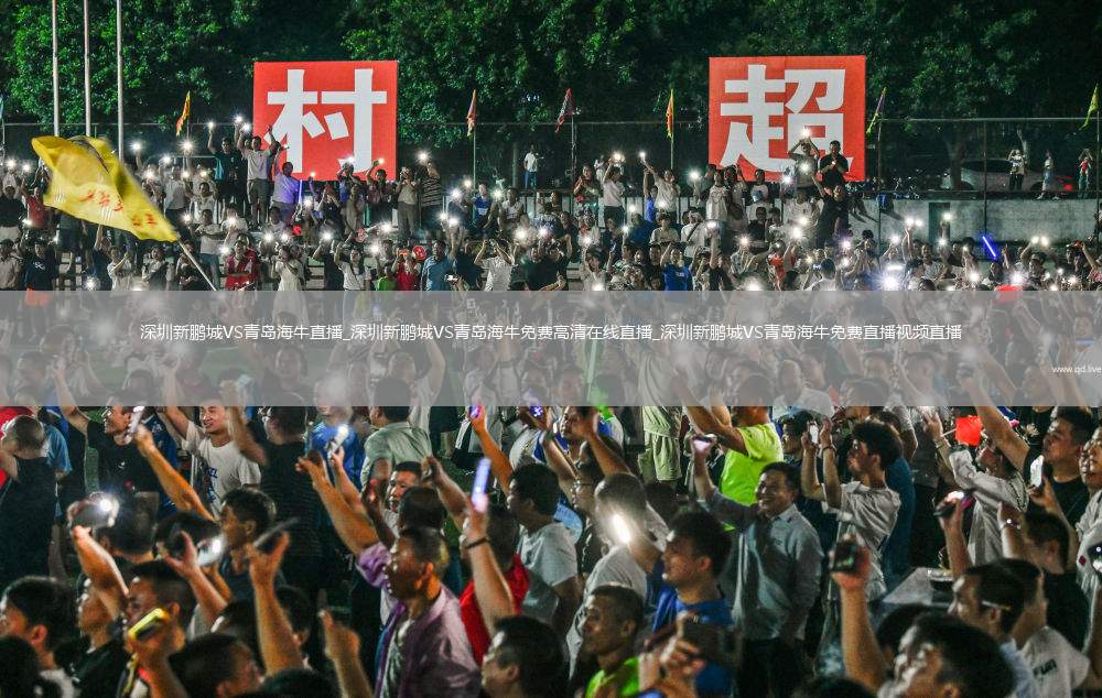 深圳新鹏城VS青岛海牛直播_深圳新鹏城VS青岛海牛免费高清在线直播_深圳新鹏城VS青岛海牛免费直播视频直播