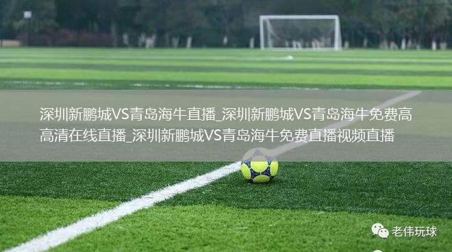 深圳新鹏城VS青岛海牛直播_深圳新鹏城VS青岛海牛免费高清在线直播_深圳新鹏城VS青岛海牛免费直播视频直播